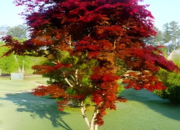 Почему автовладельцам опасно быть должниками?