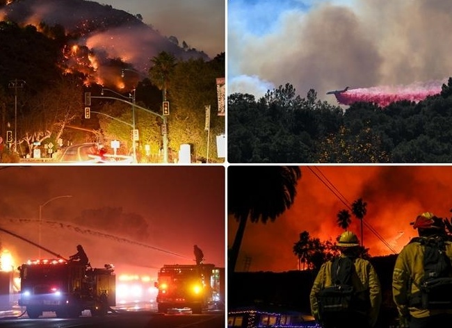 Расчистка территории после пожара — возмещение расходов по страховке